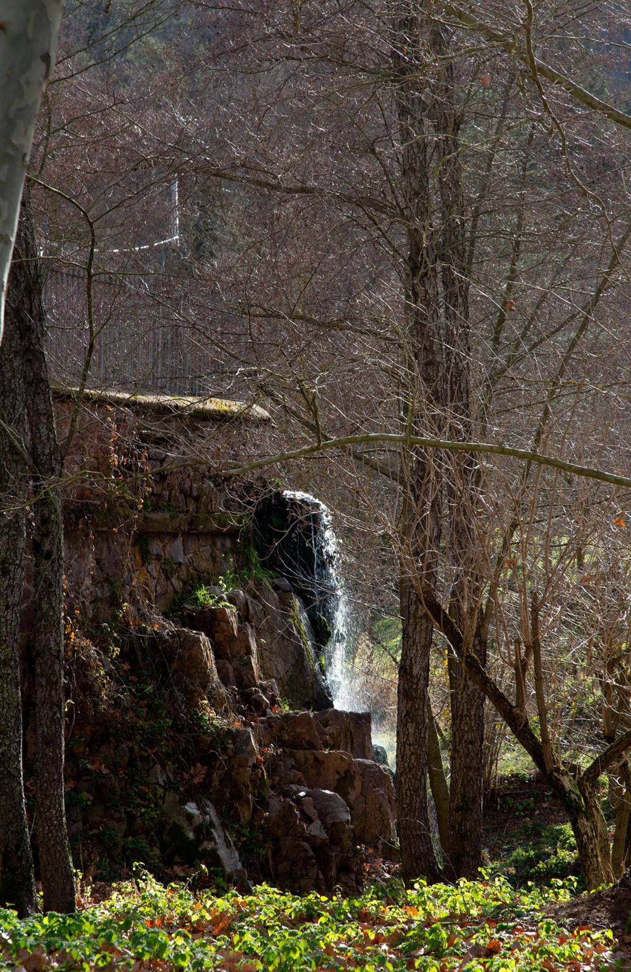 Casa Fabregas - Benestar Natural Viladrau Esterno foto